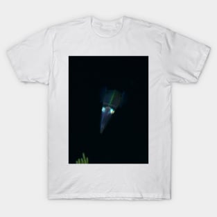 Squid at Night T-Shirt